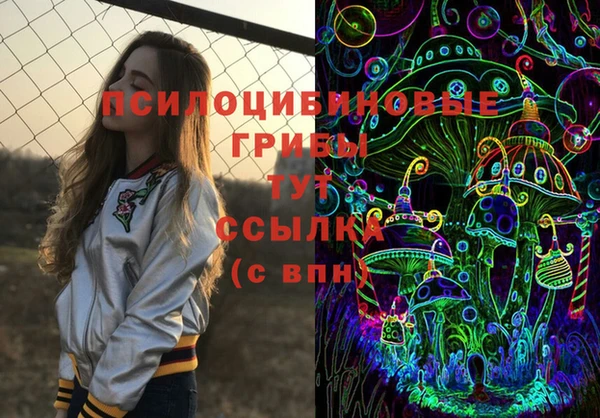 дурь Арсеньев