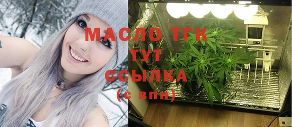 сатива Армянск