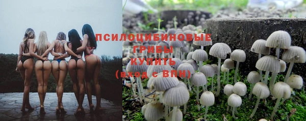 сатива Армянск