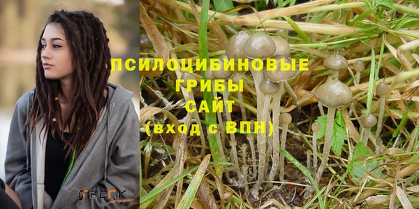 дурь Арсеньев