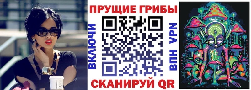 Галлюциногенные грибы мицелий  Верея 